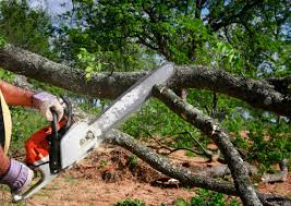 Seasonal Cleanup (Spring/Fall) in Pitman, NJ