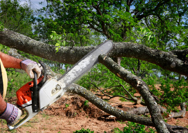 Mulching Services in Pitman, NJ